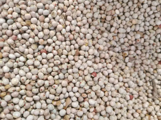 authentic-agbugbu-fiofio-traditional-nigerian-pigeon-pea-meal