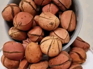 premium-oji-kola-nut-authentic-nigerian-traditional-nut