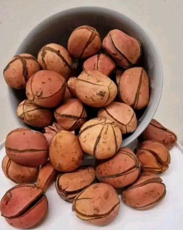 premium-oji-kola-nut-authentic-nigerian-traditional-nut-big-0
