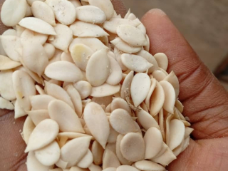 bag-of-handpeeled-egusi